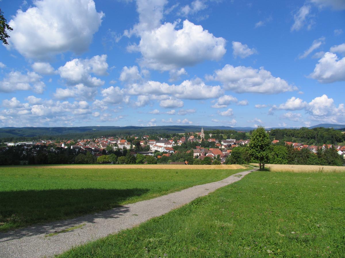 Moehringers Schwarzwald Hotel بوندورف ام شفارتزو المظهر الخارجي الصورة